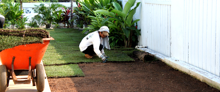 lawn installation hawaii