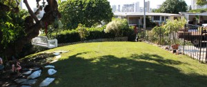 hawaiian turfgrass lawn installation services