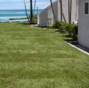 Testimonials- Hawaiian Turfgrass